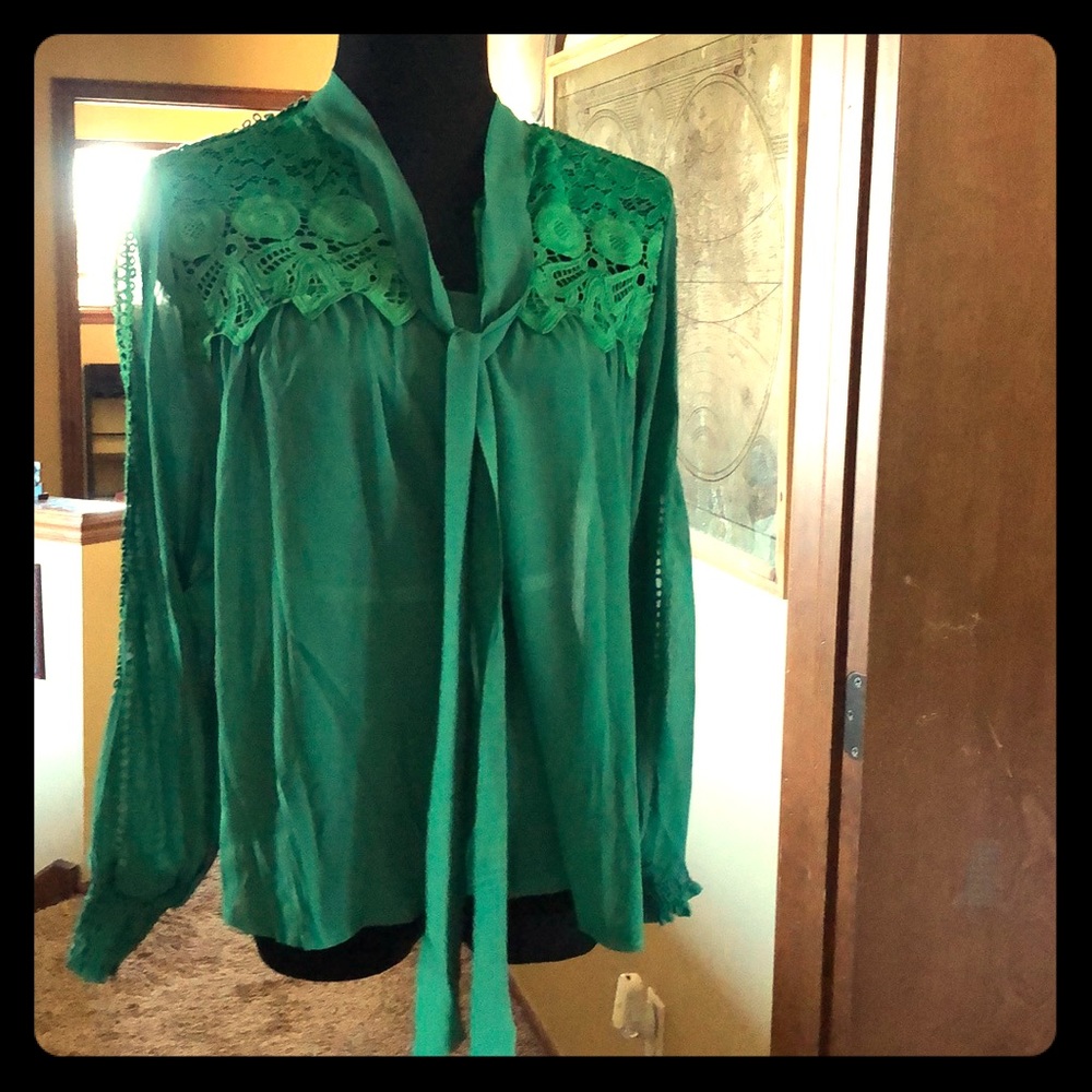 Beautiful Green Sheer Blouse